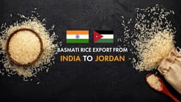 Exporting from India to Jordan is a high-potential B2B opportunity, especially in sectors like food products, textiles, chemicals, machinery, and pharmaceuticals. With strong trade relations and Jordan’s reliance on imports, Indian exporters can build long-term, profitable partnerships. - 5